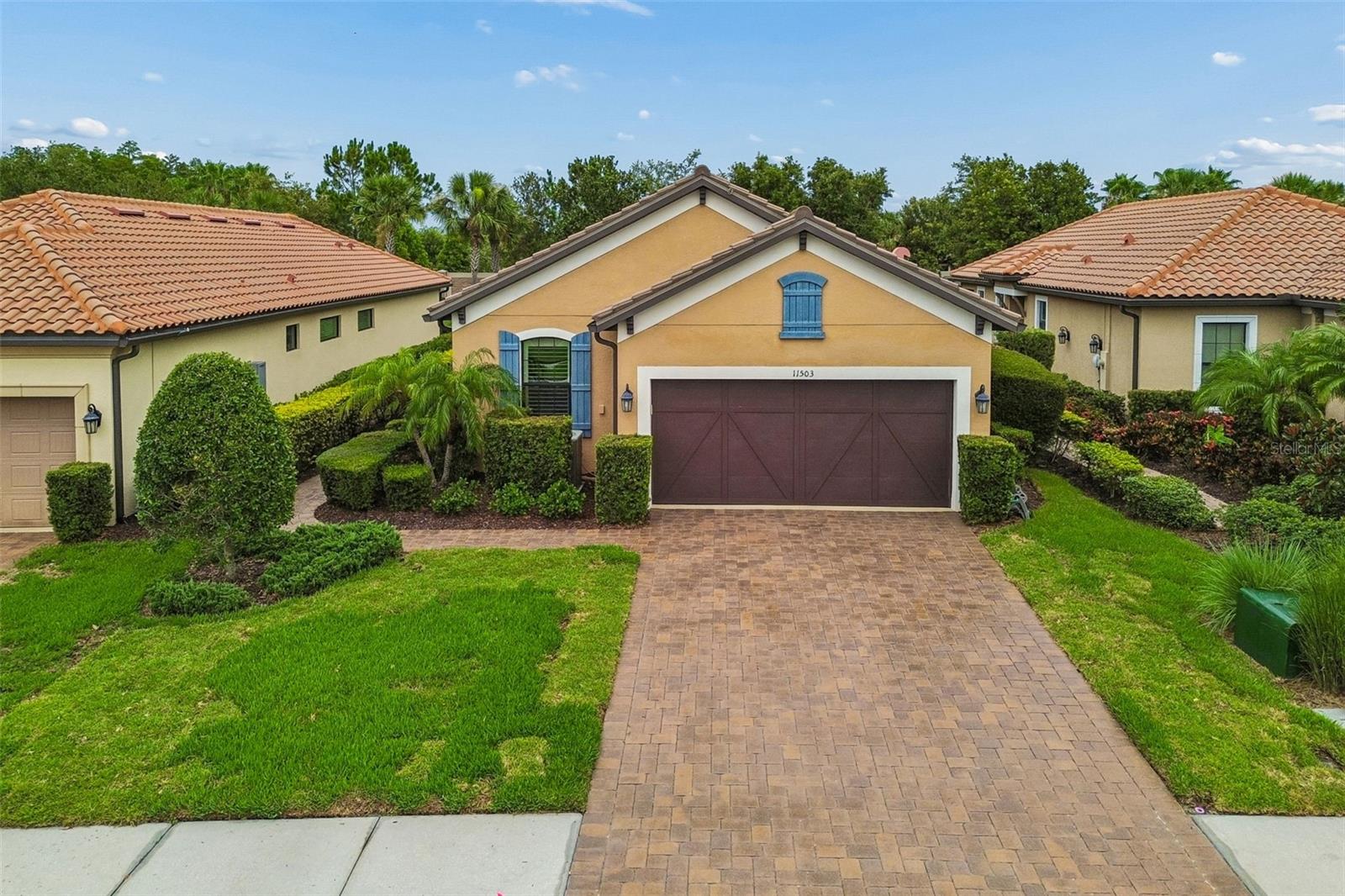 11503 CALLISIA DR
