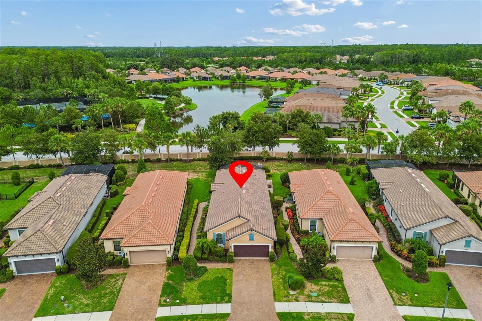 11503 CALLISIA DR