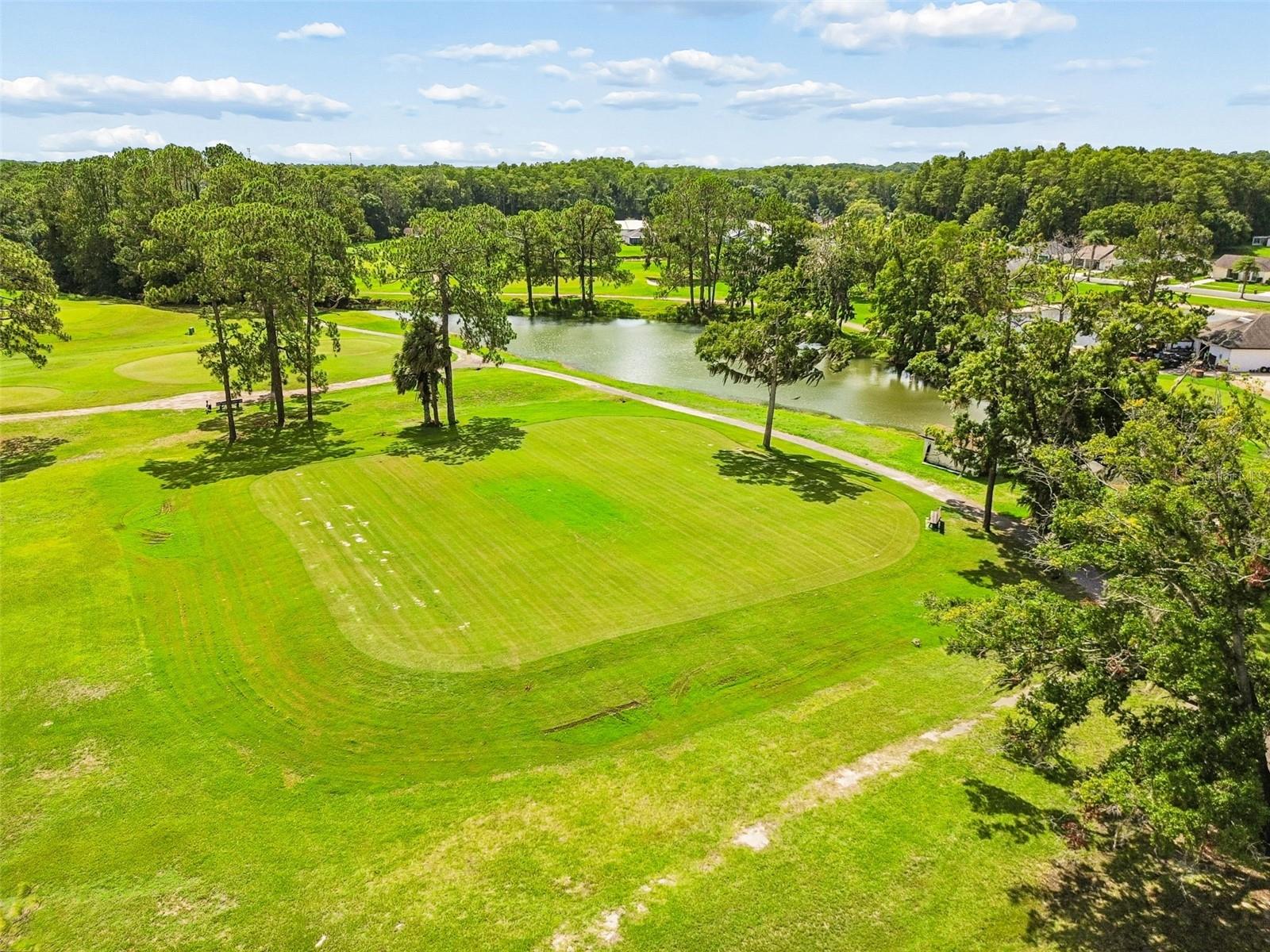 12154 PUTTER GREEN CT