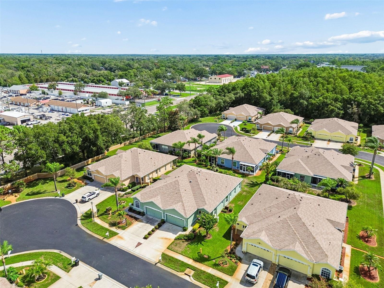 12154 PUTTER GREEN CT