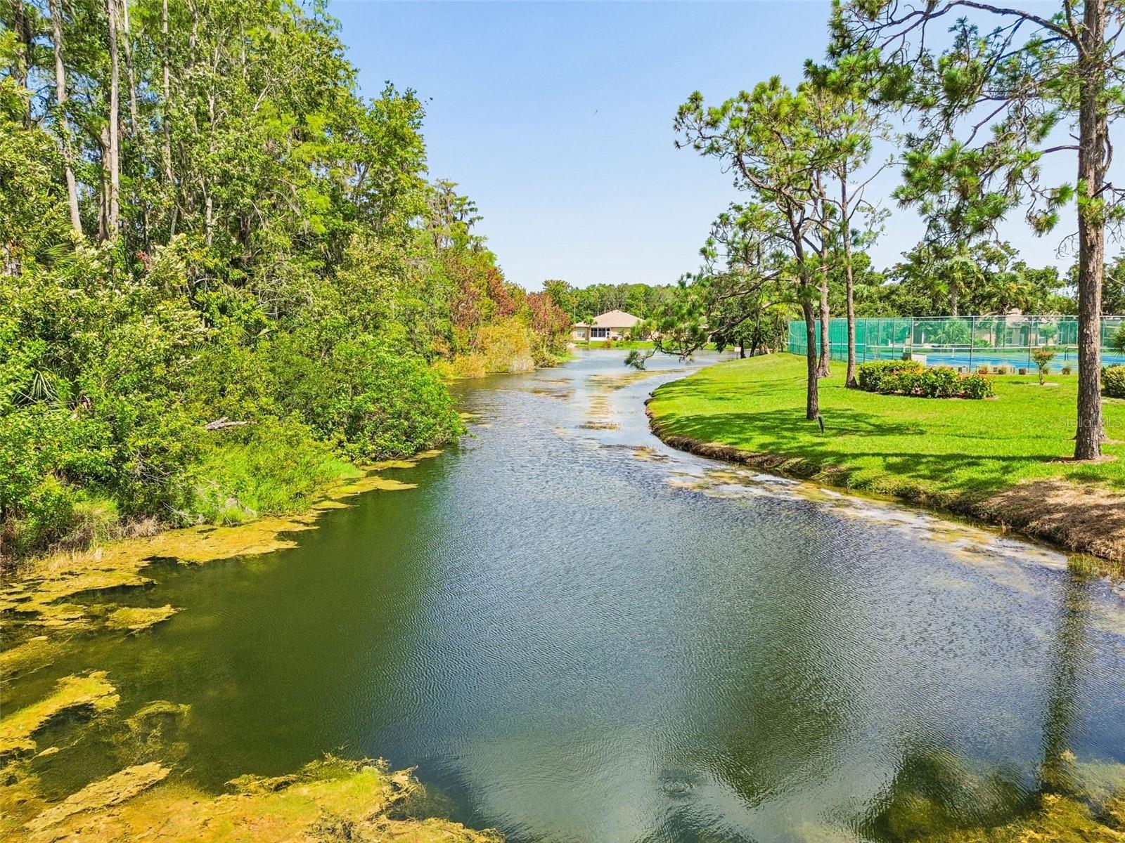 12154 PUTTER GREEN CT