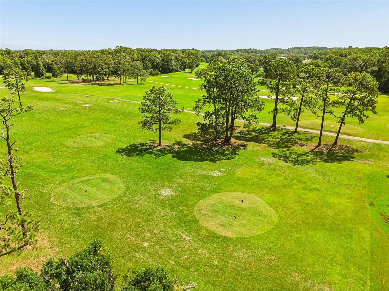 12154 PUTTER GREEN CT
