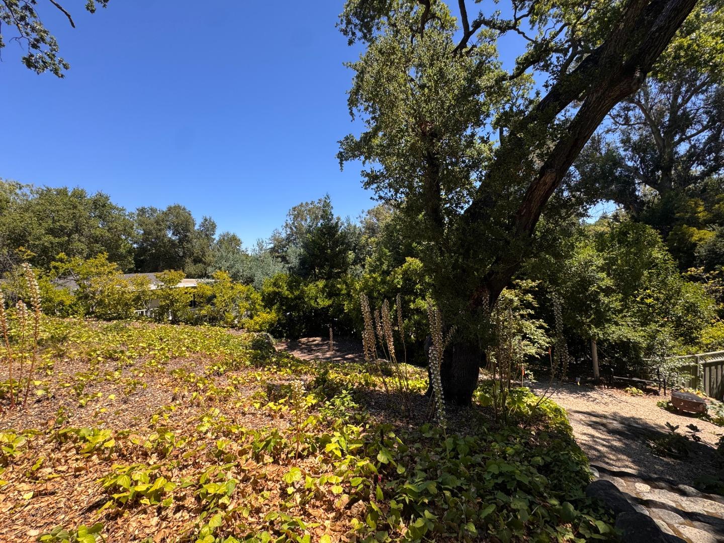225 Oak Meadow DR