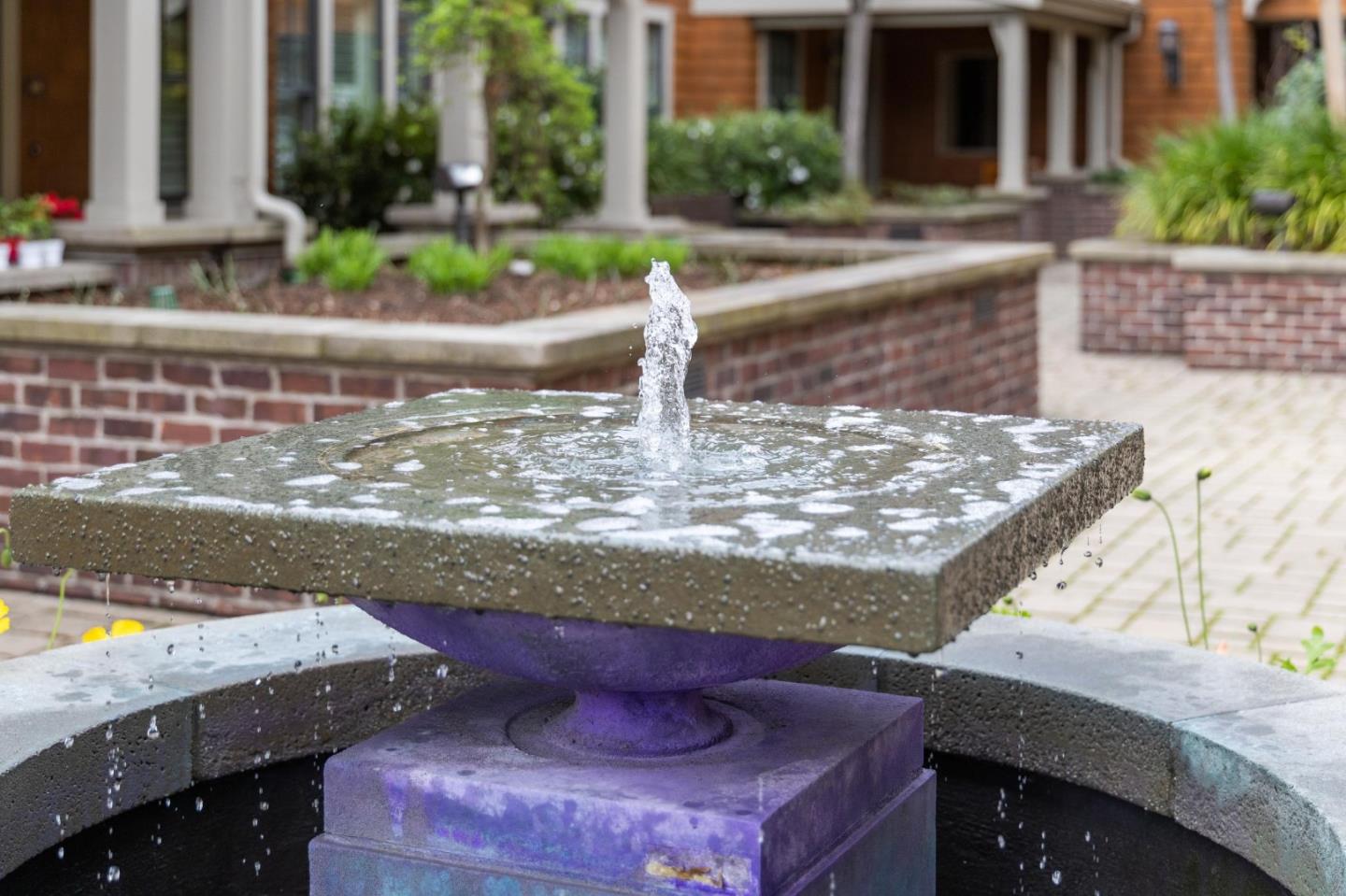 325 Channing AVE 118