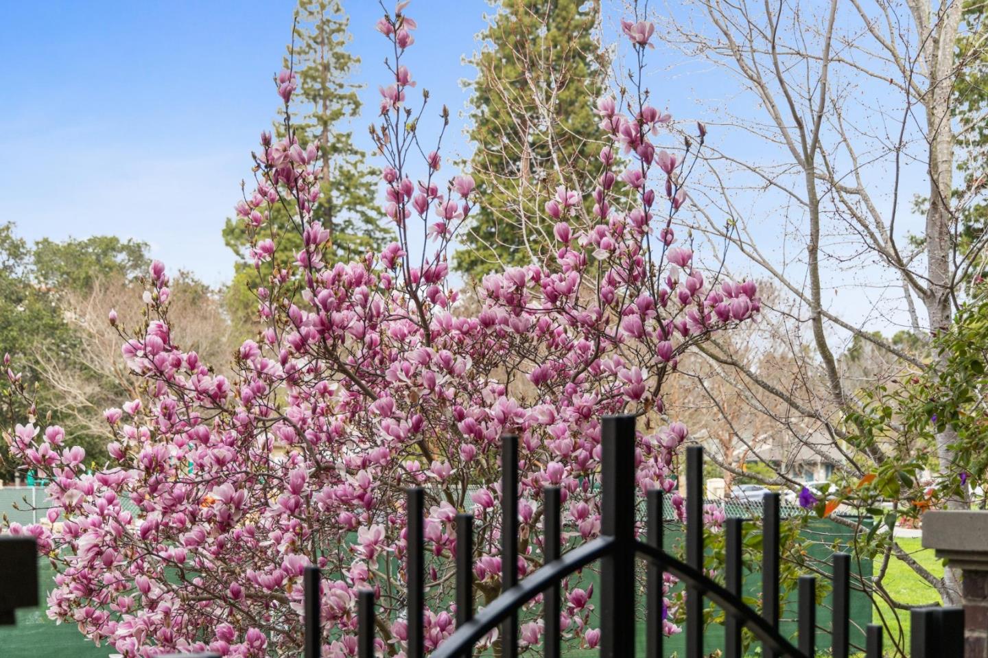 325 Channing AVE 118