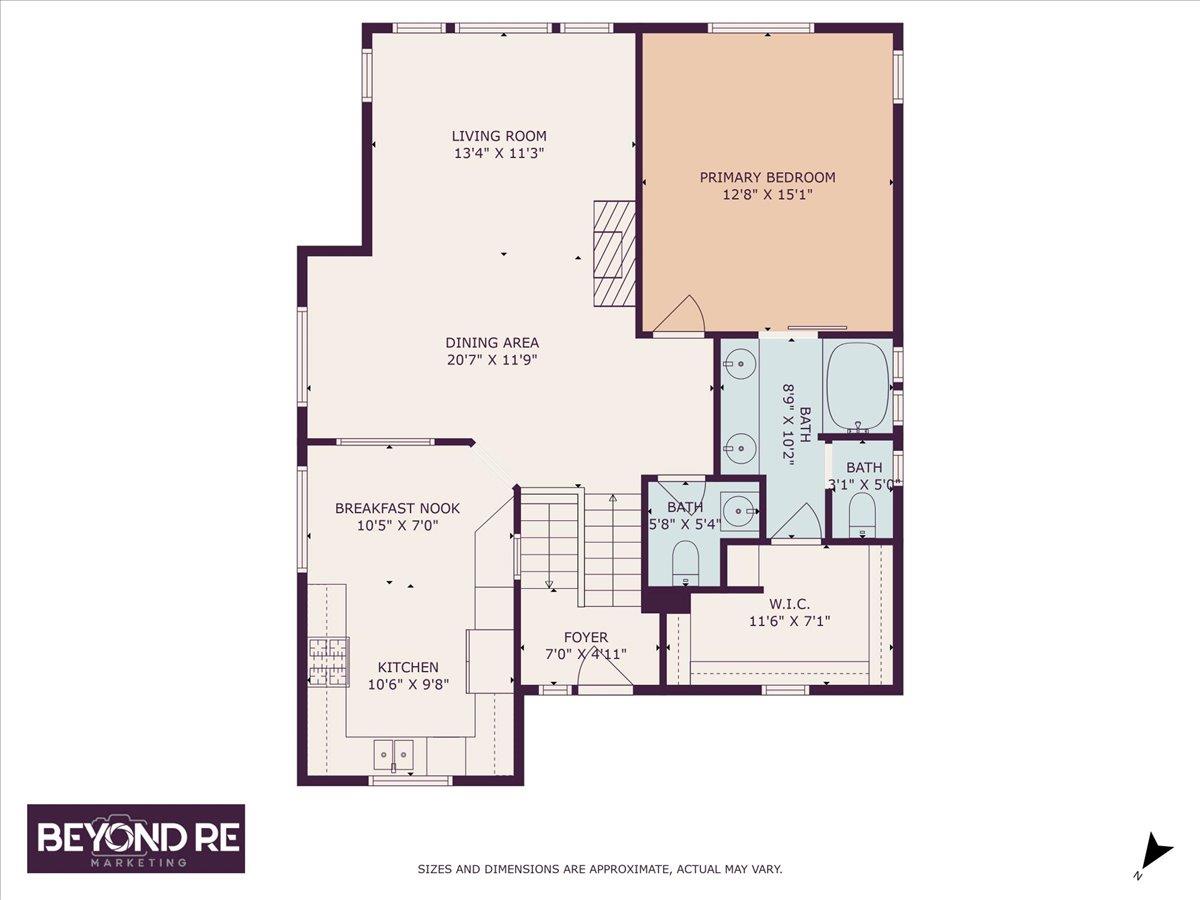 564 Chelsea XING