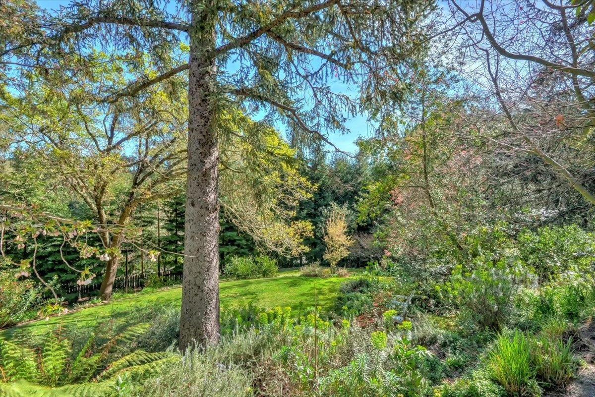1077 Portola RD