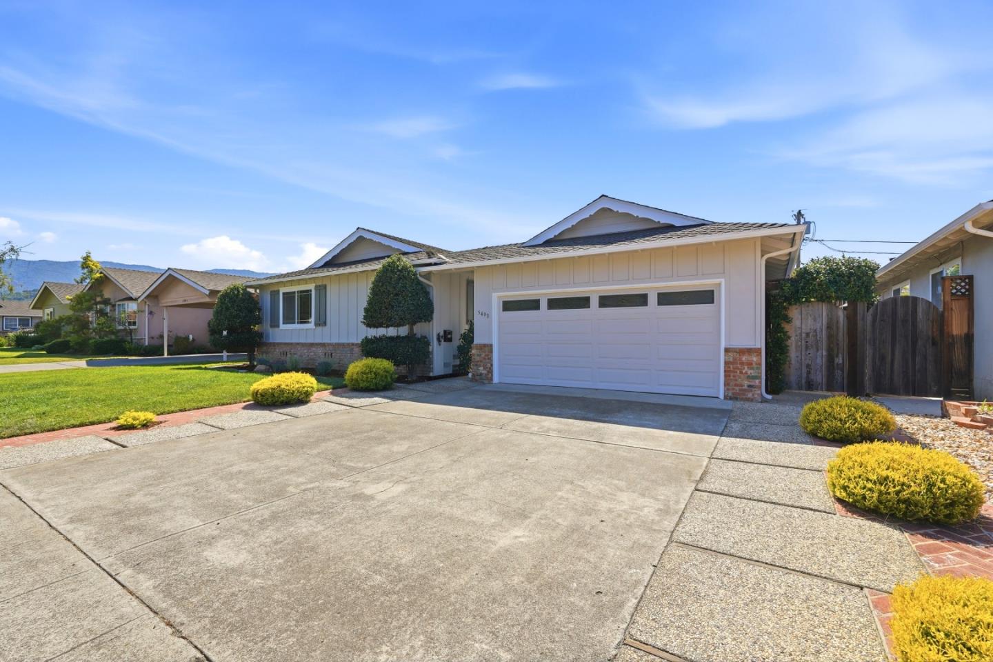 Fern DR