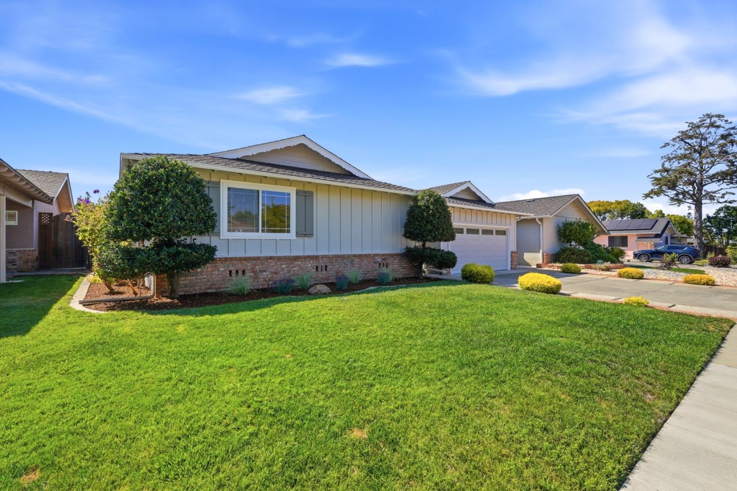 Fern DR