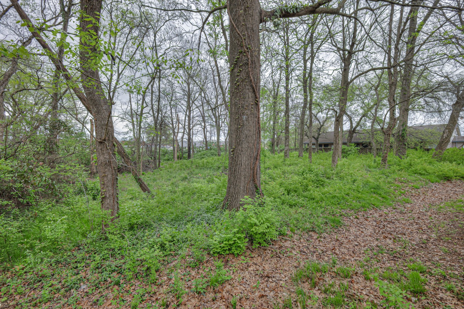 8025 Mickey Katz Cir