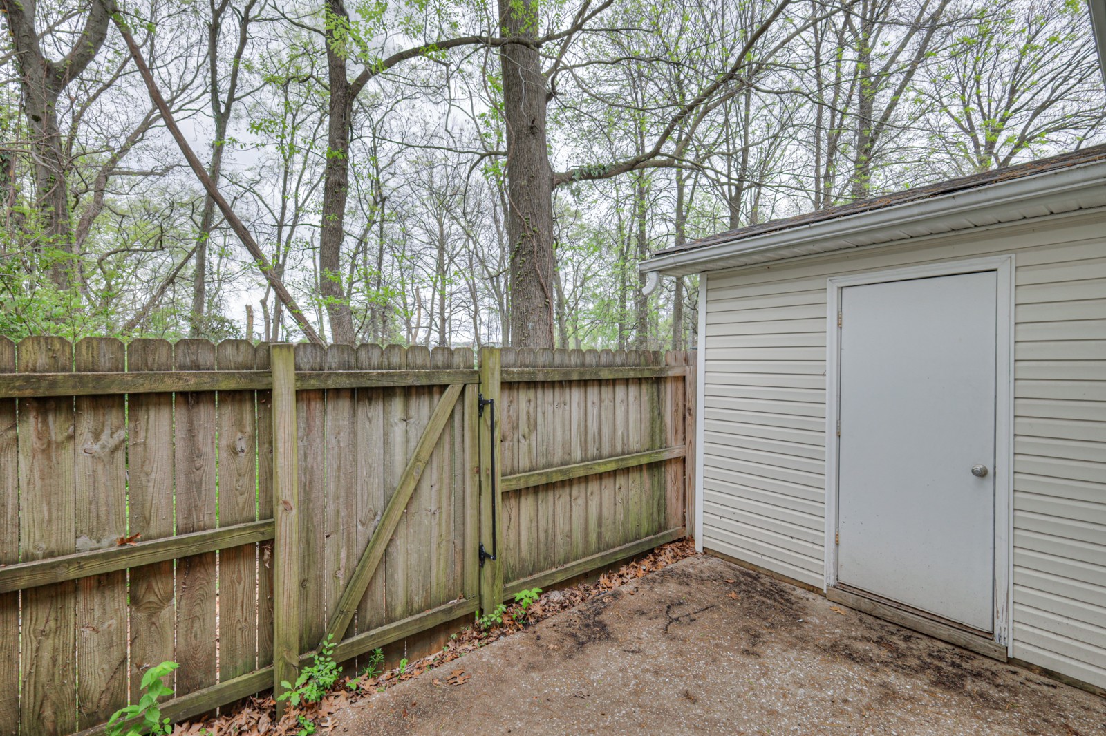 8025 Mickey Katz Cir