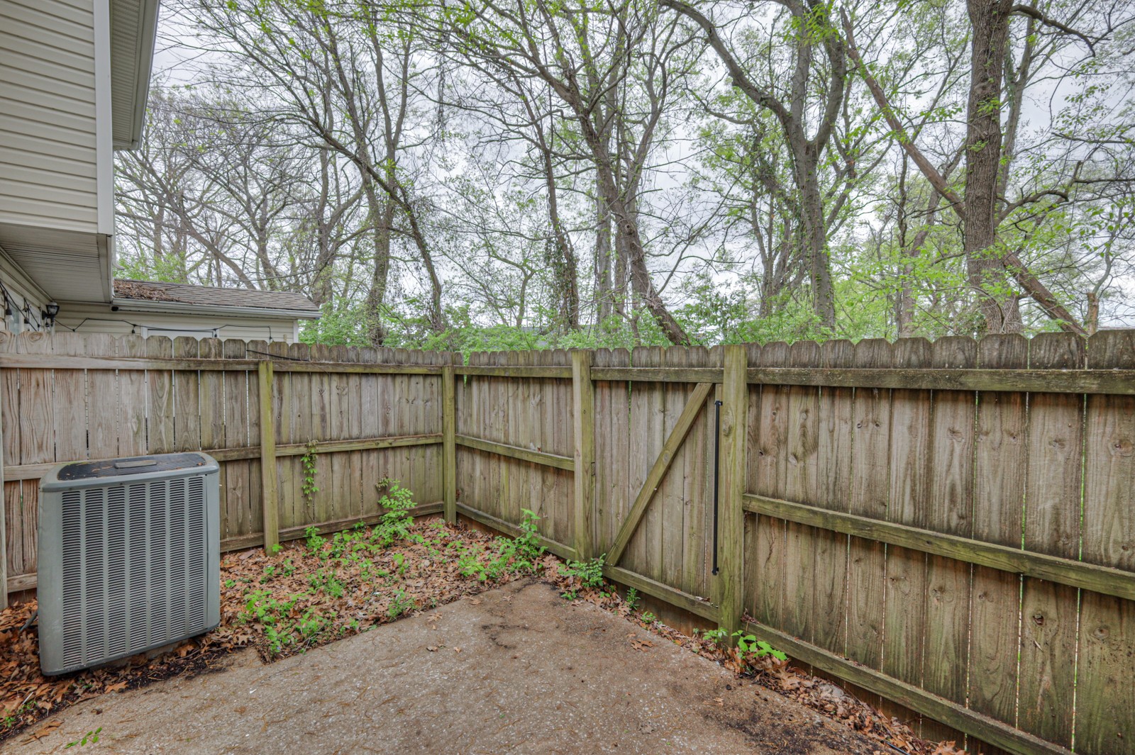 8025 Mickey Katz Cir