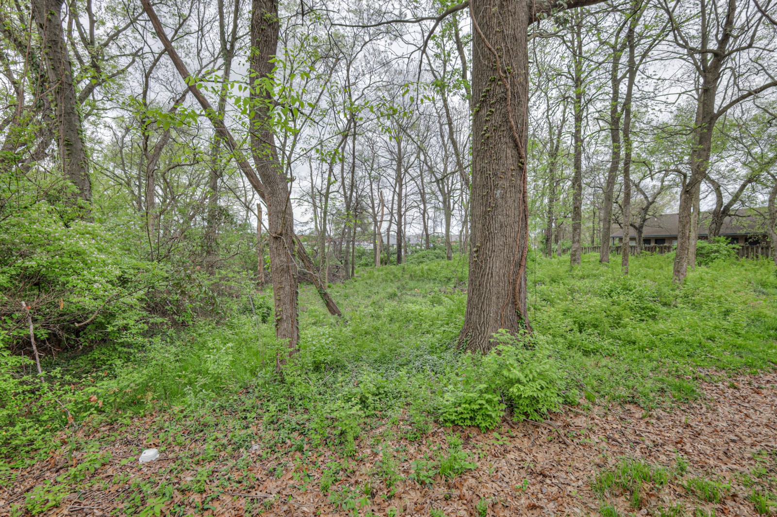 8025 Mickey Katz Cir