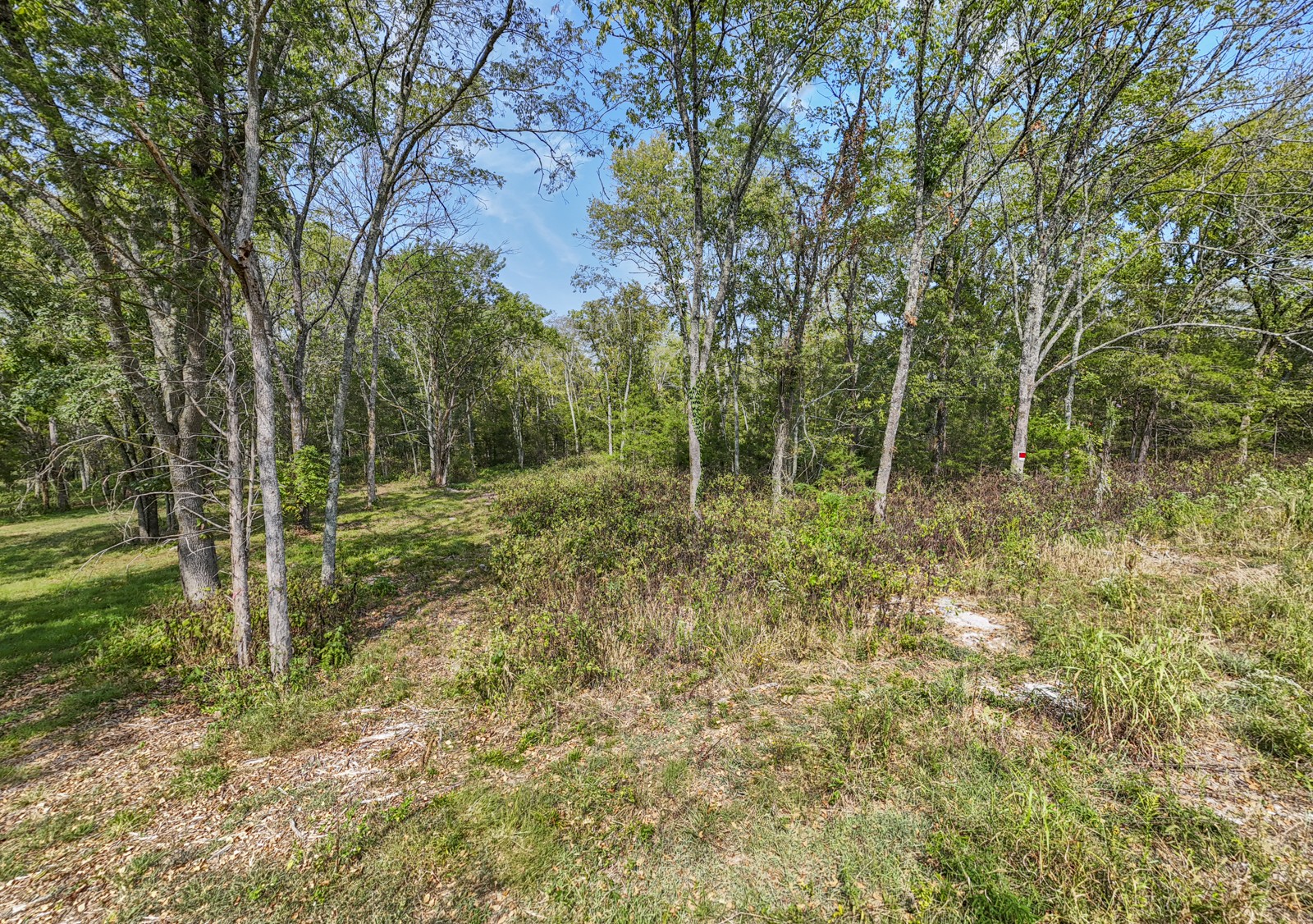 8546 Taliaferro Rd