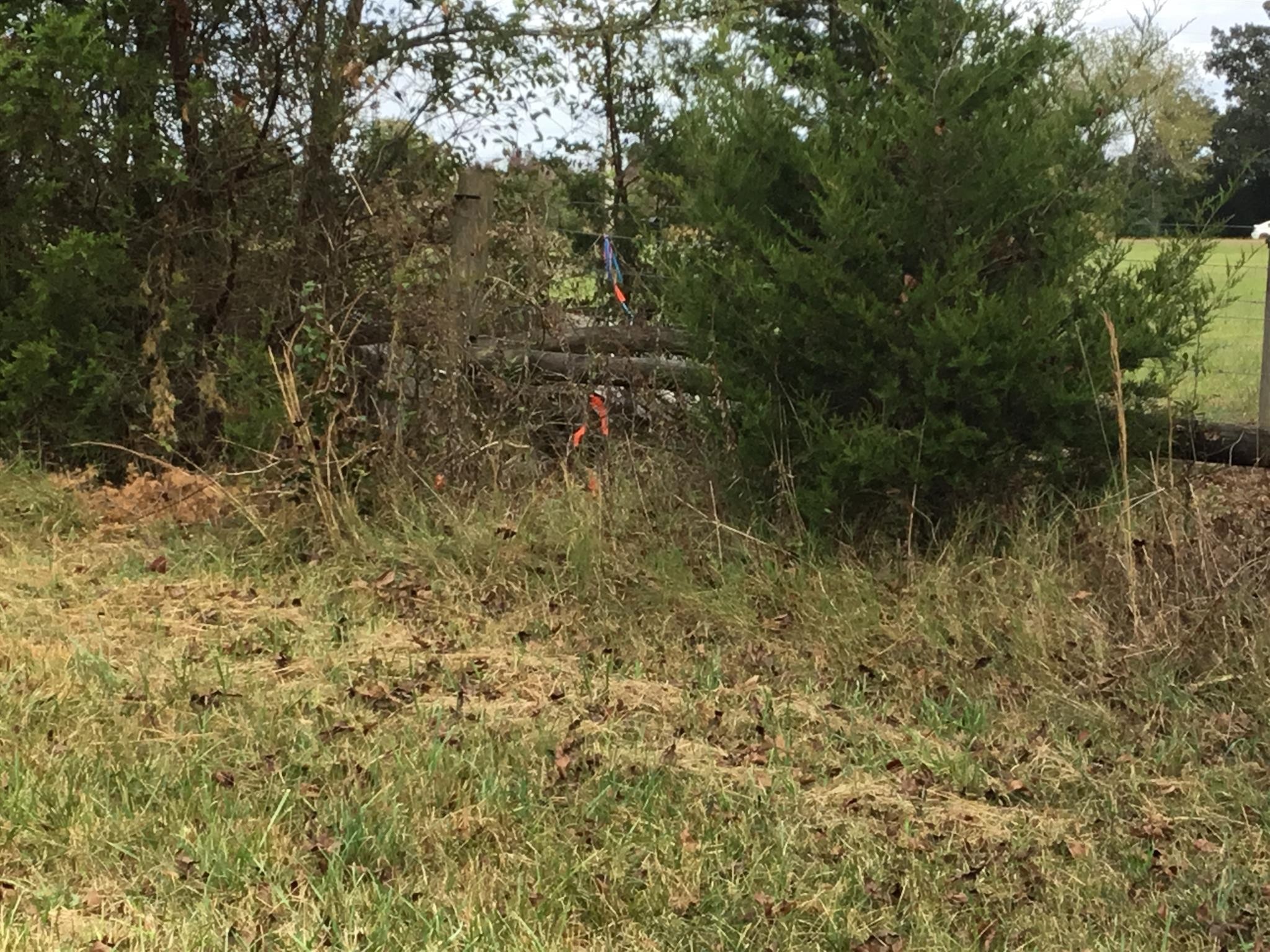 330 Whitaker Rd