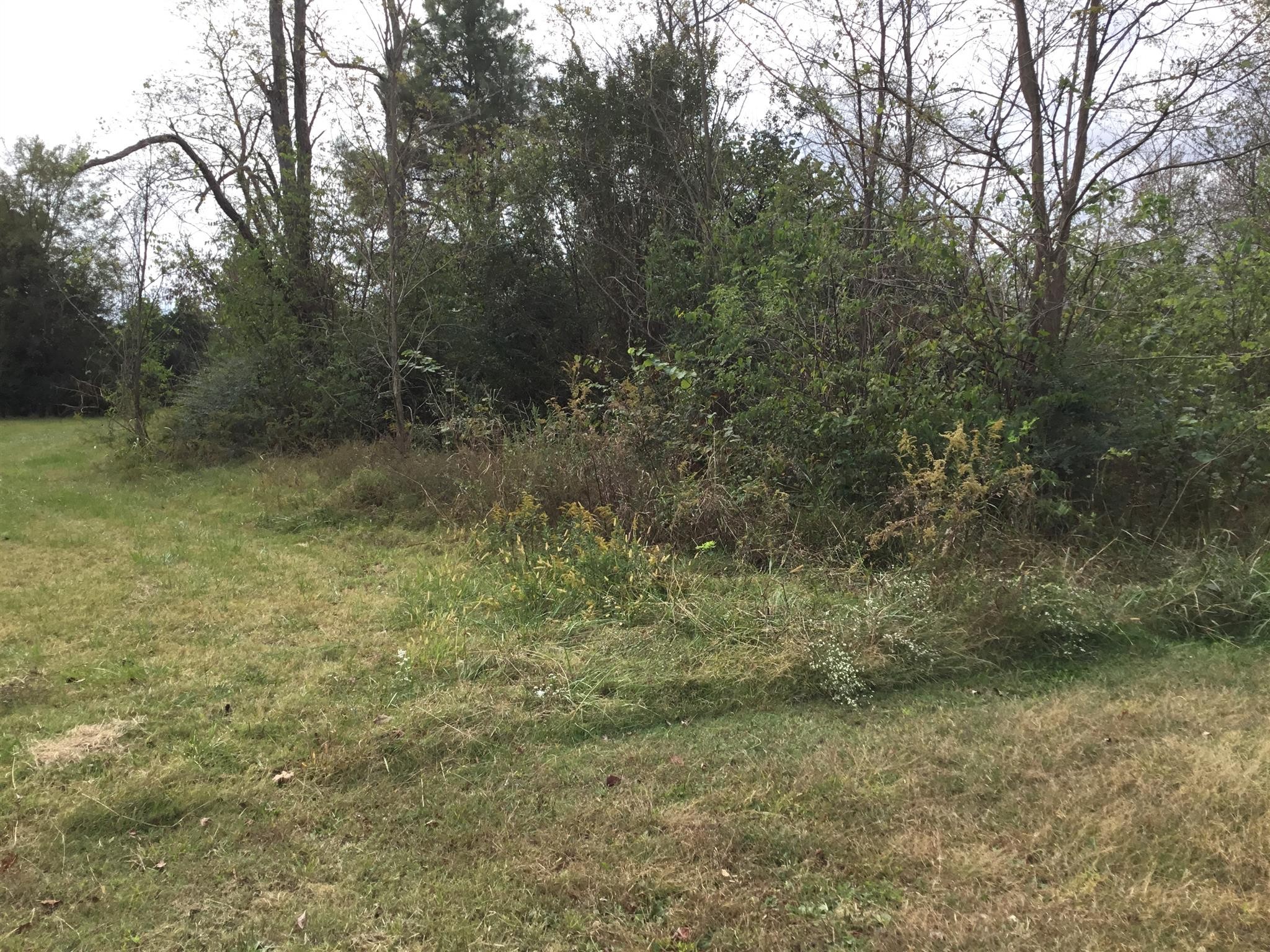 330 Whitaker Rd
