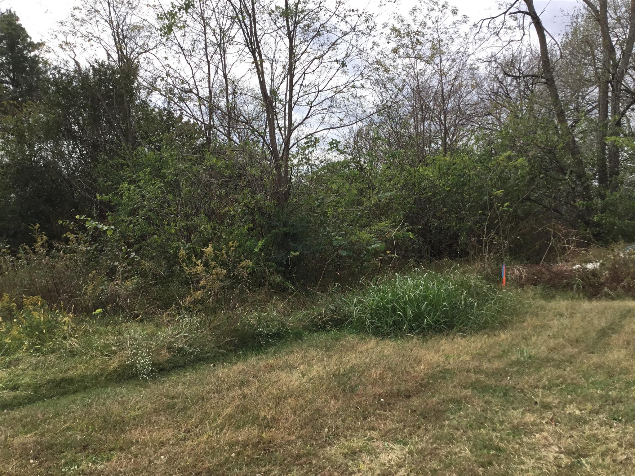 330 Whitaker Rd