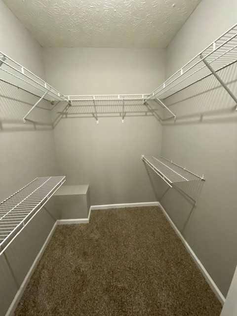 805 E Northfield Blvd