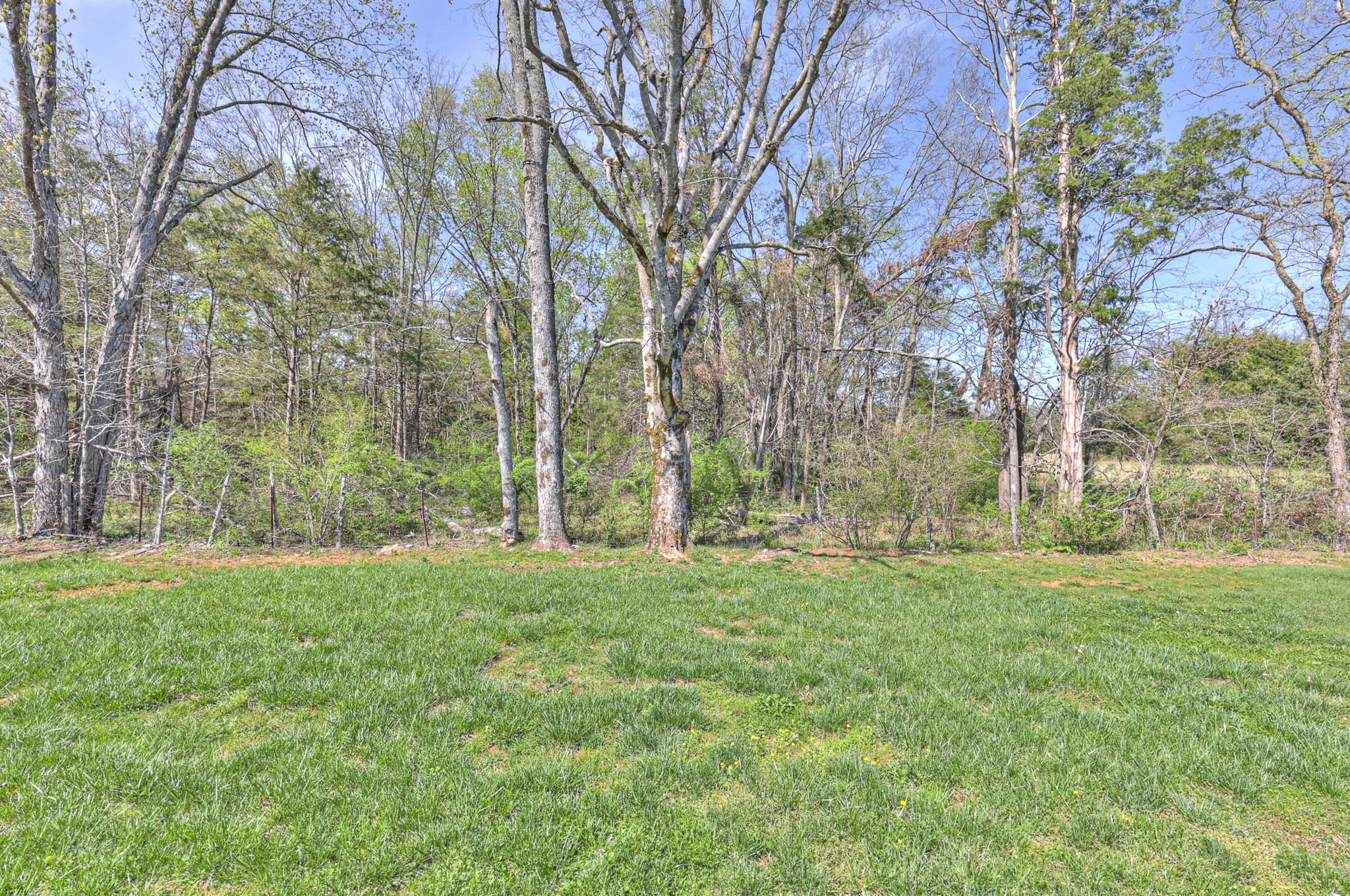1105 Alex Walker Dr