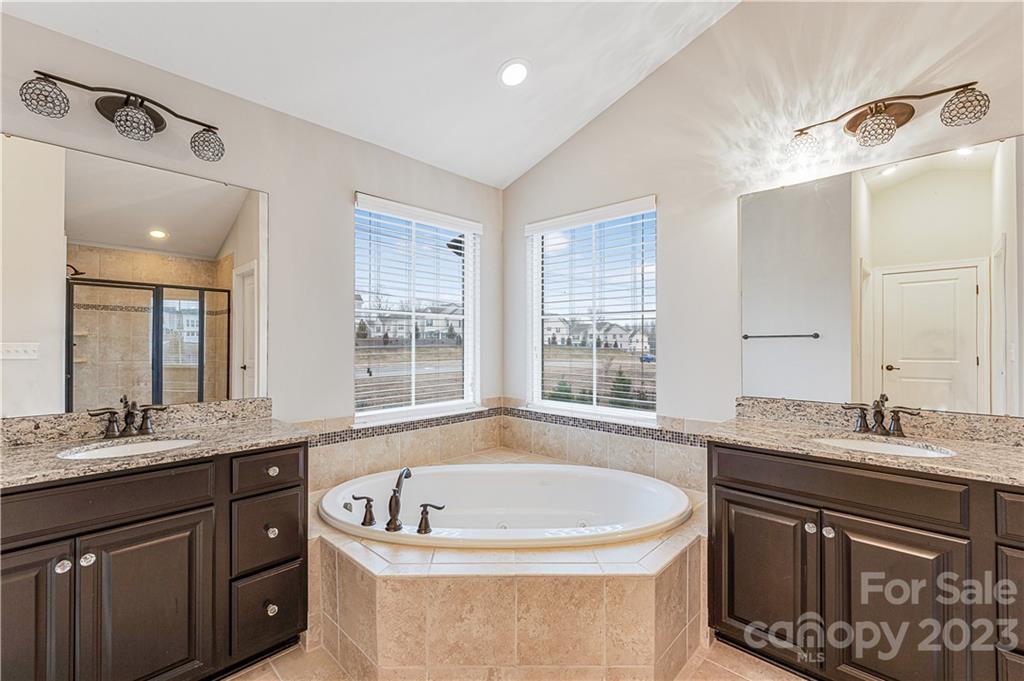 9996 Violet Cannon Drive