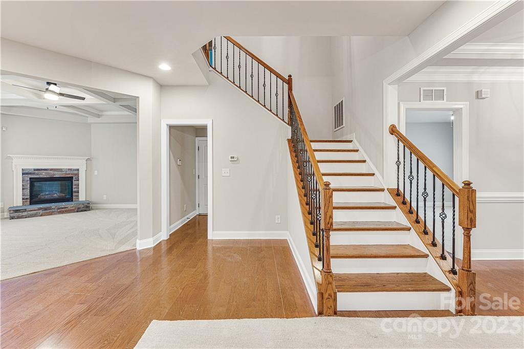 9996 Violet Cannon Drive