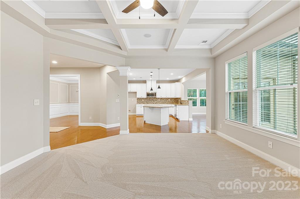 9996 Violet Cannon Drive