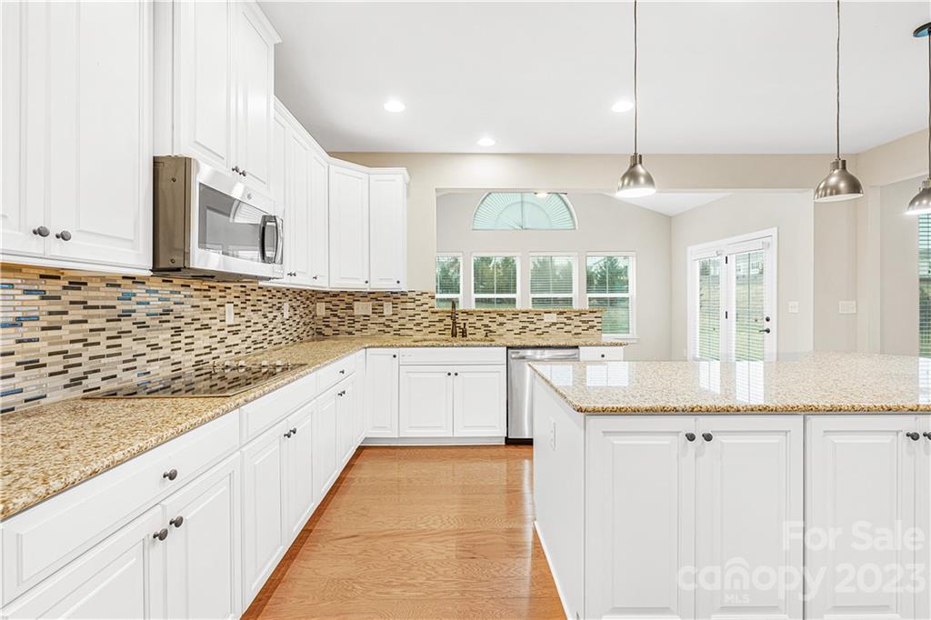 9996 Violet Cannon Drive