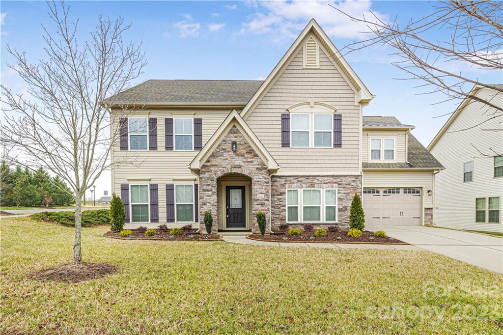 9996 Violet Cannon Drive