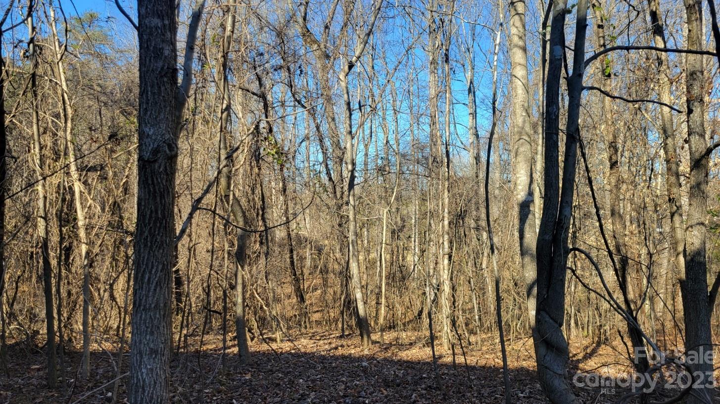 4262 Rhoney School Road