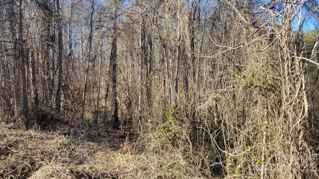4262 Rhoney School Road