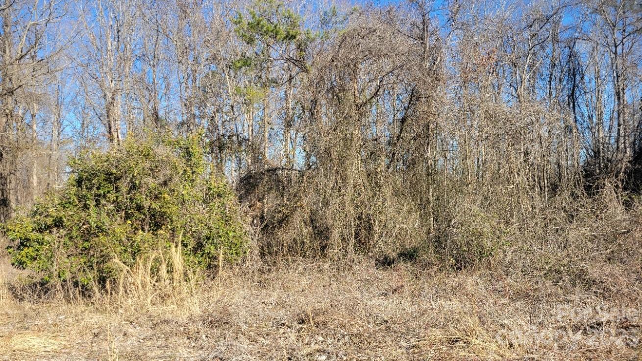 4262 Rhoney School Road