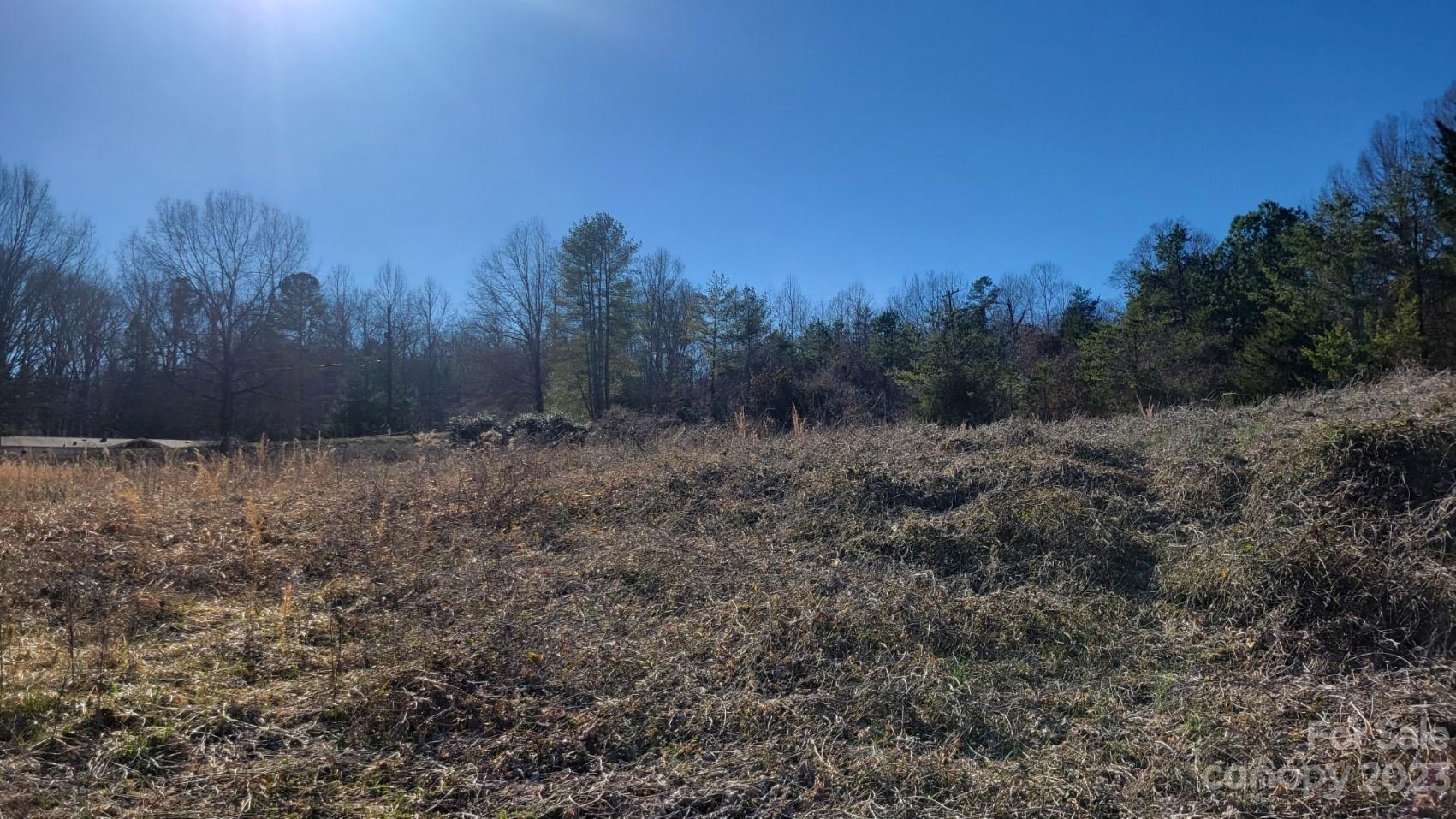 4262 Rhoney School Road