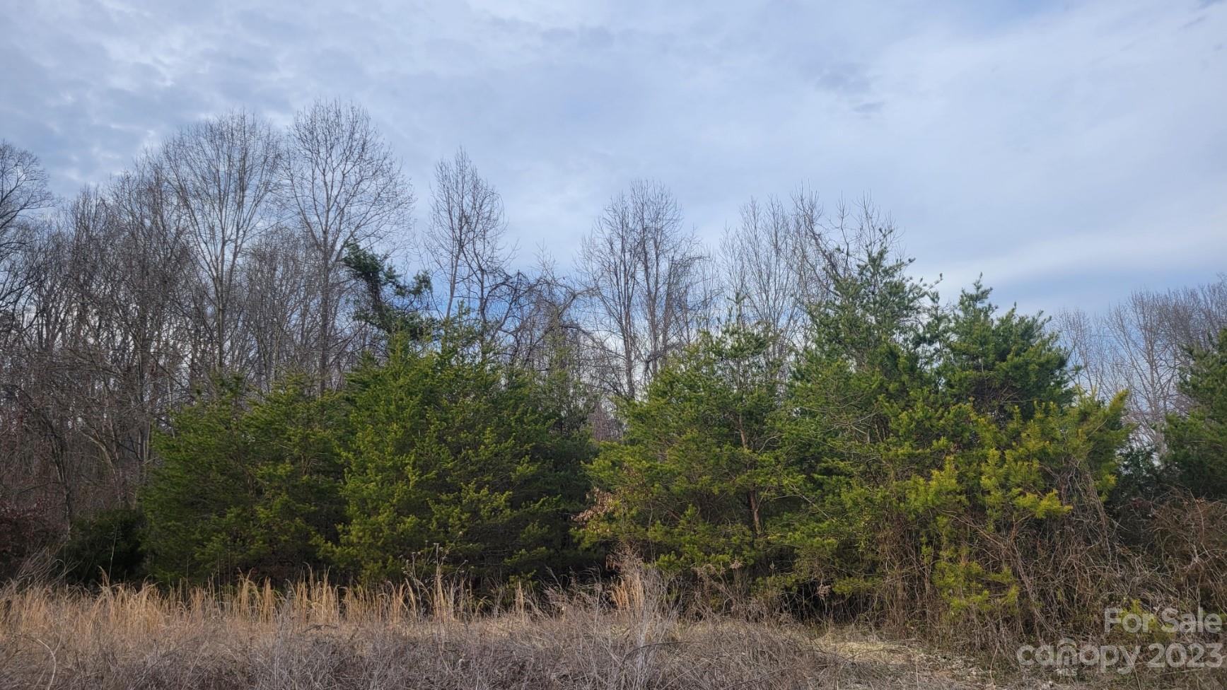 4262 Rhoney School Road