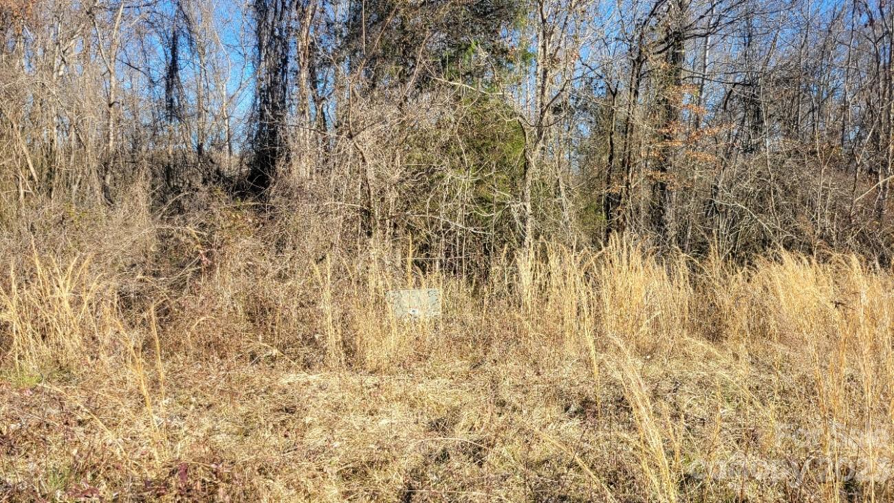 4262 Rhoney School Road