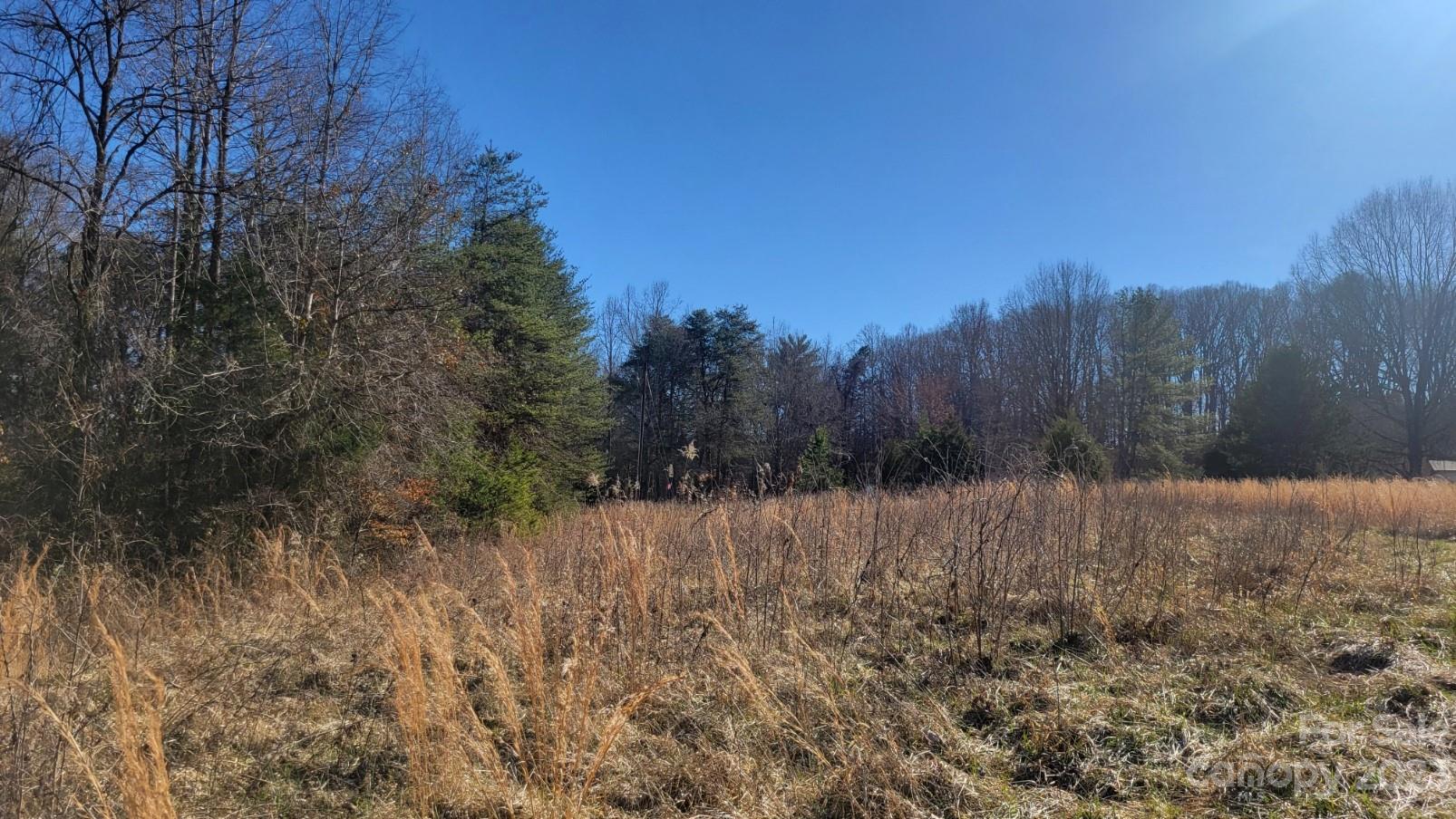 4262 Rhoney School Road