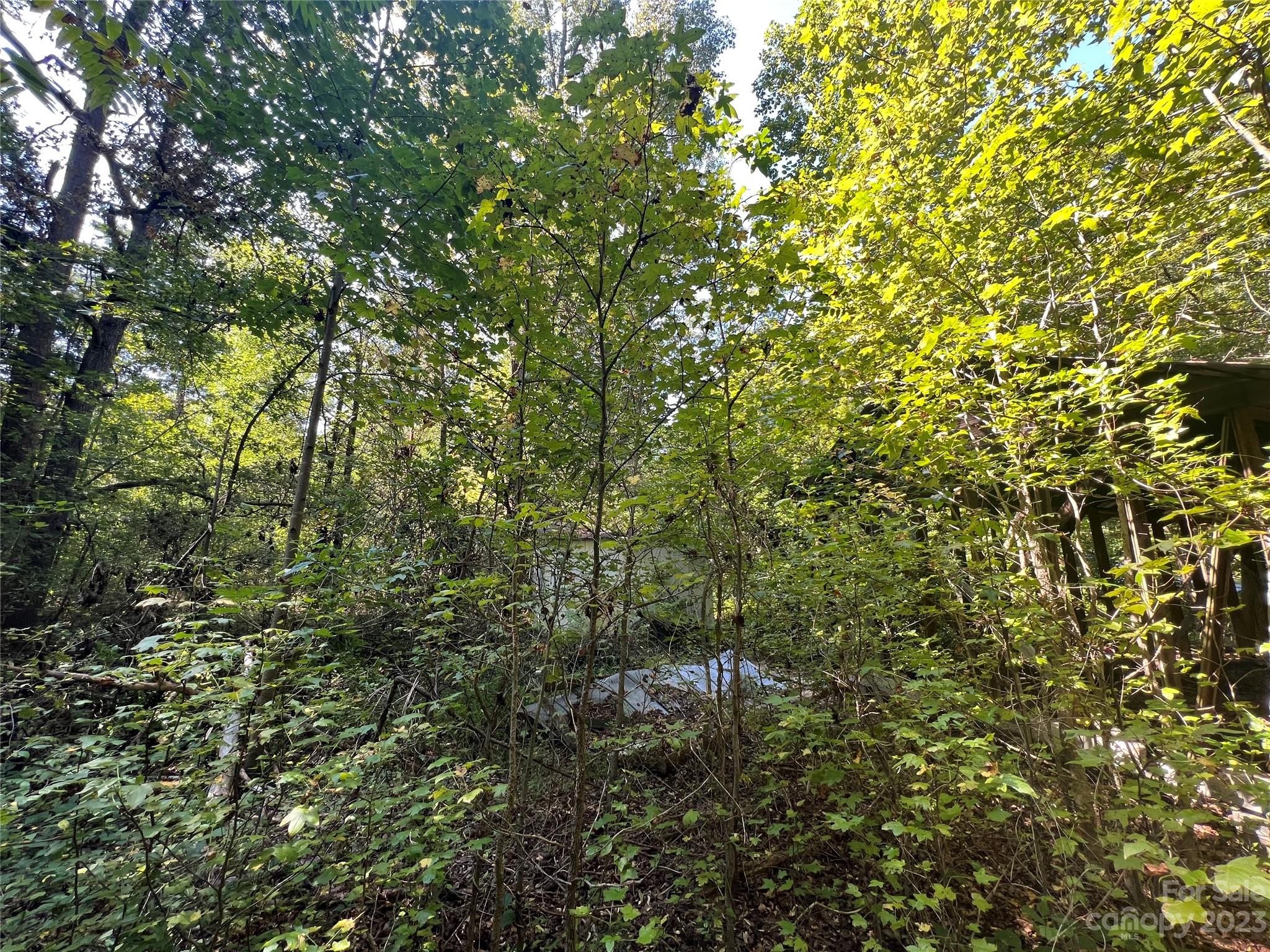 135 Surratt Drive
