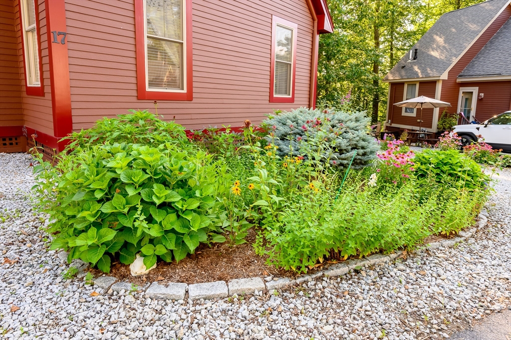 17 White Pine Knl # 17