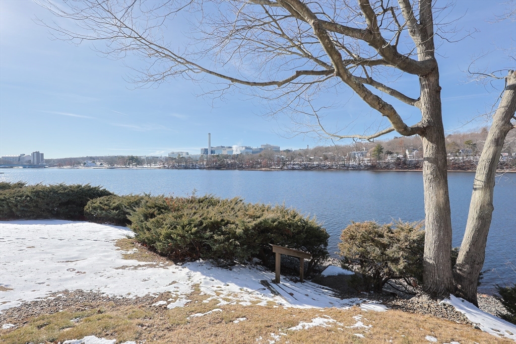 15 Eaglehead Ter # 5