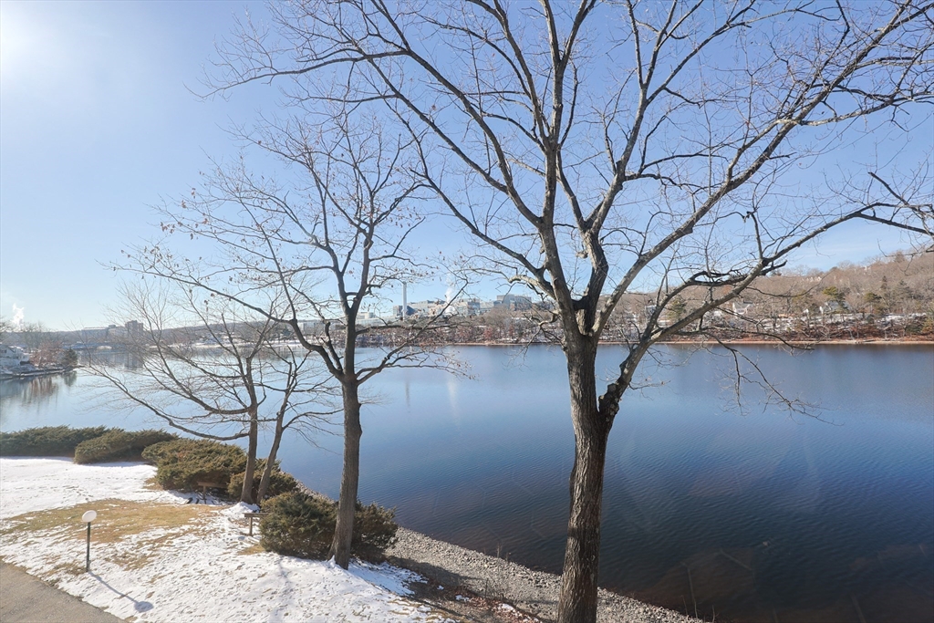 15 Eaglehead Ter # 5