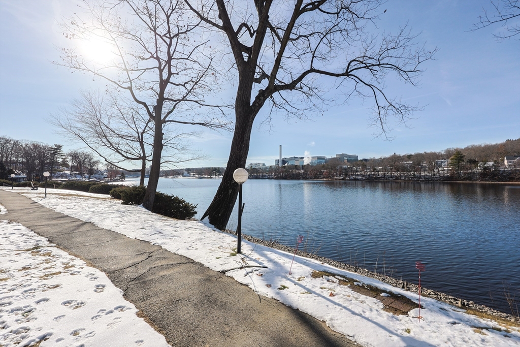 15 Eaglehead Ter # 5