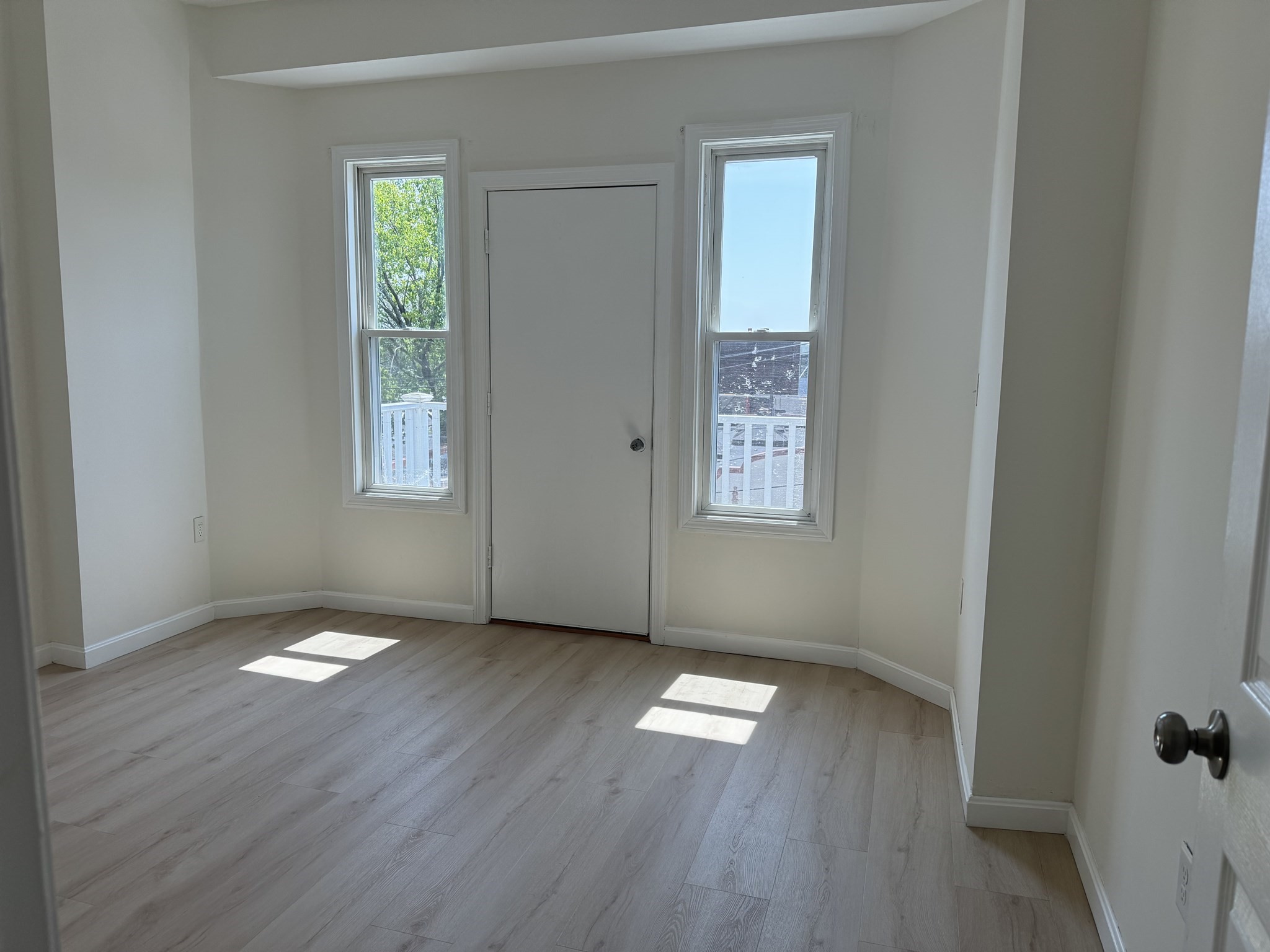 Empty room with light wood-look flooring and two windows flanking a closed door.