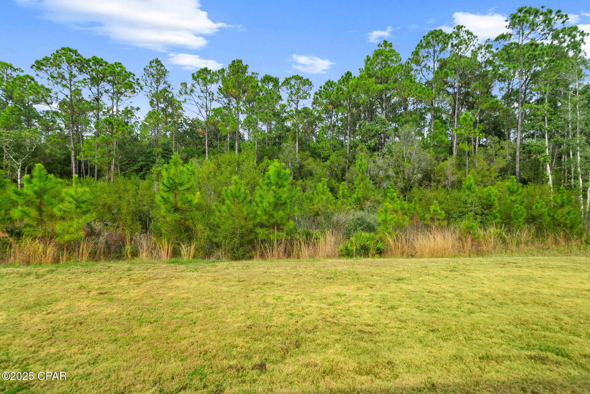 9204 Caribbean Soul Way