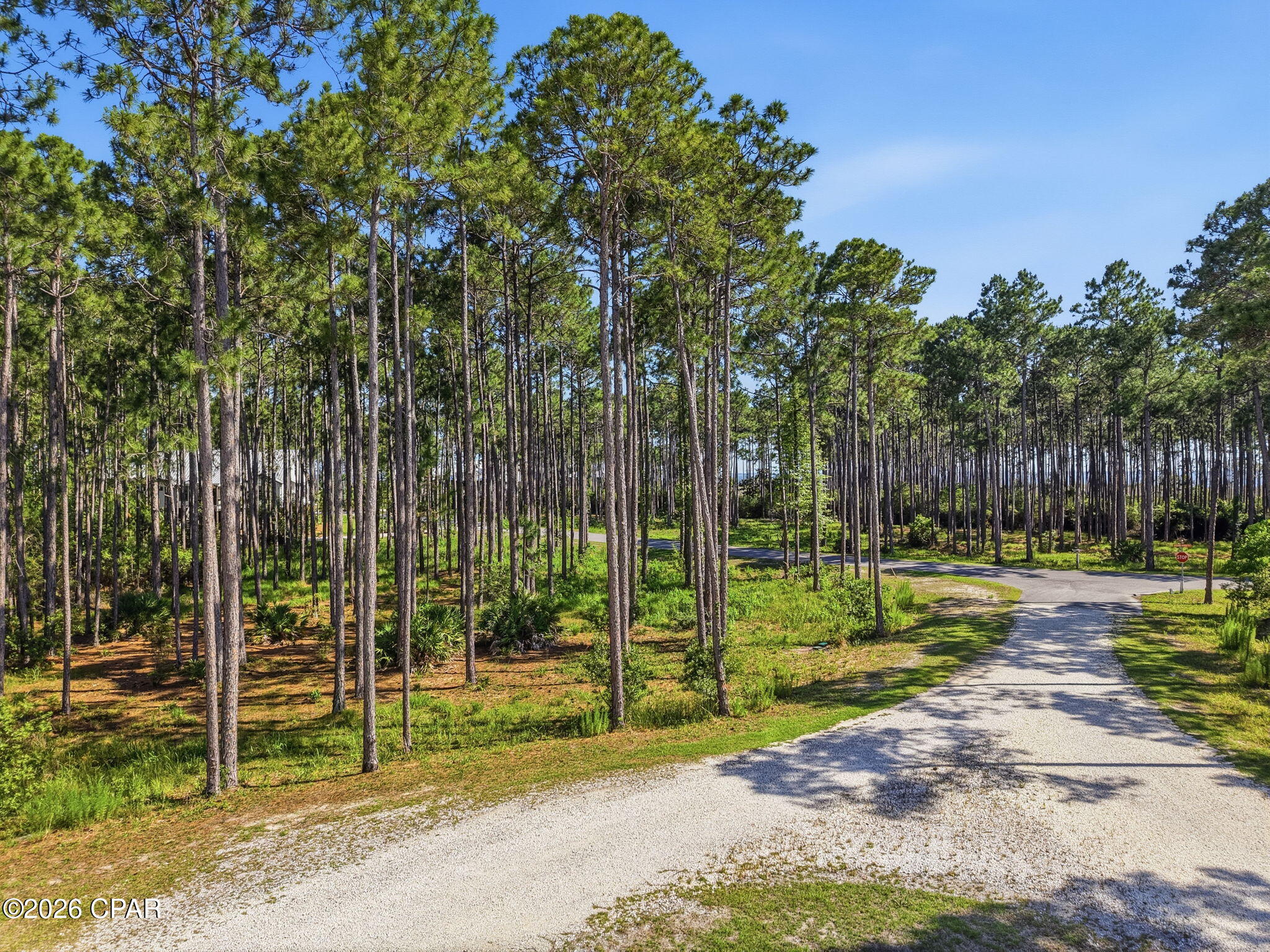 7514 Morning Marsh Trail