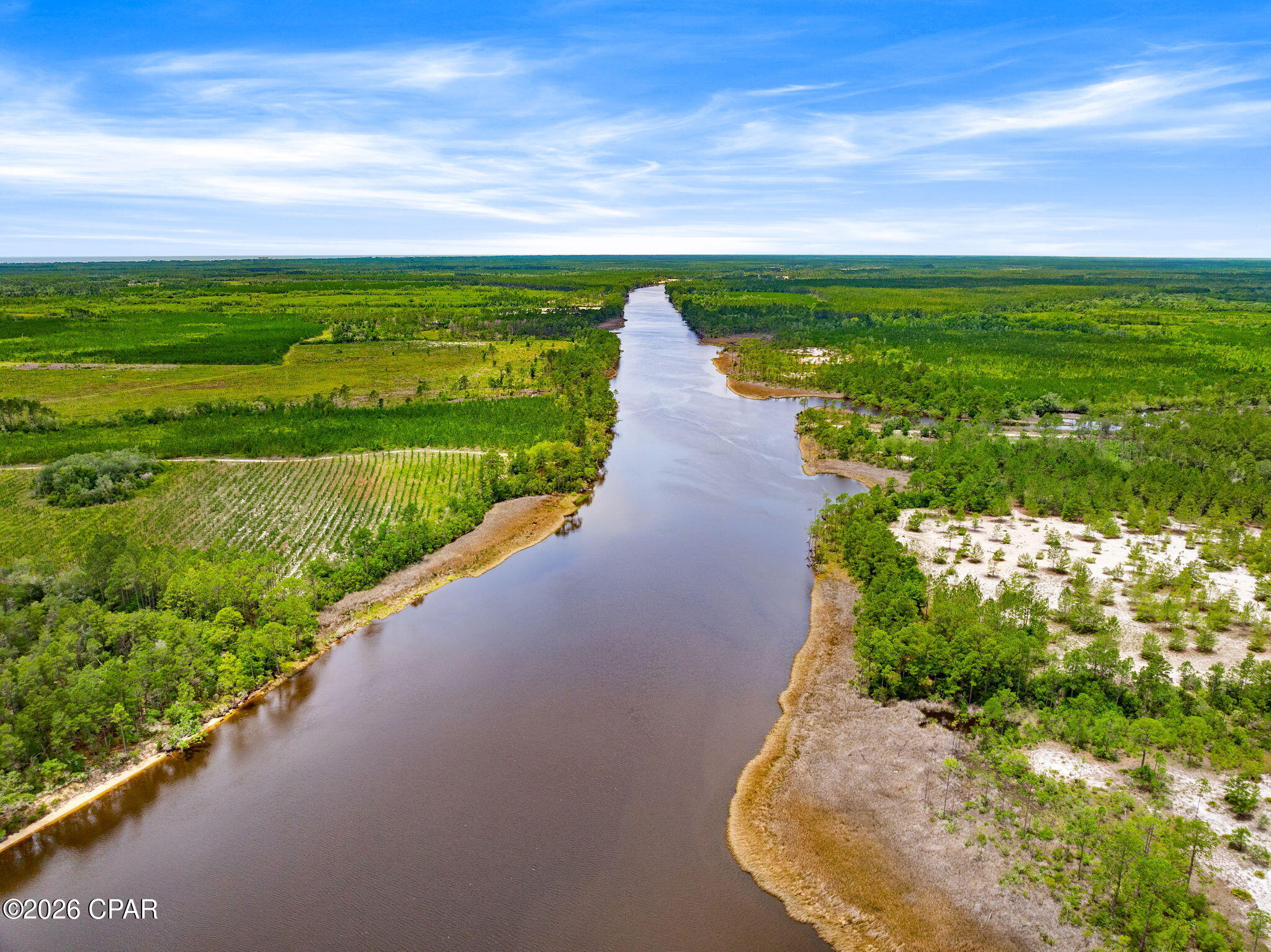 8917 Parrot Place