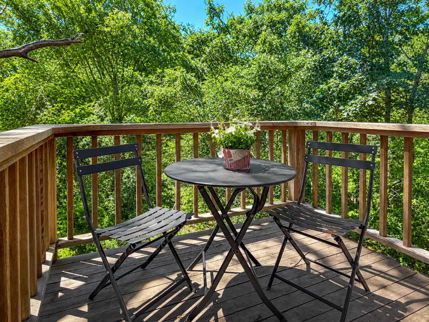 31 Josiah Sachem Way