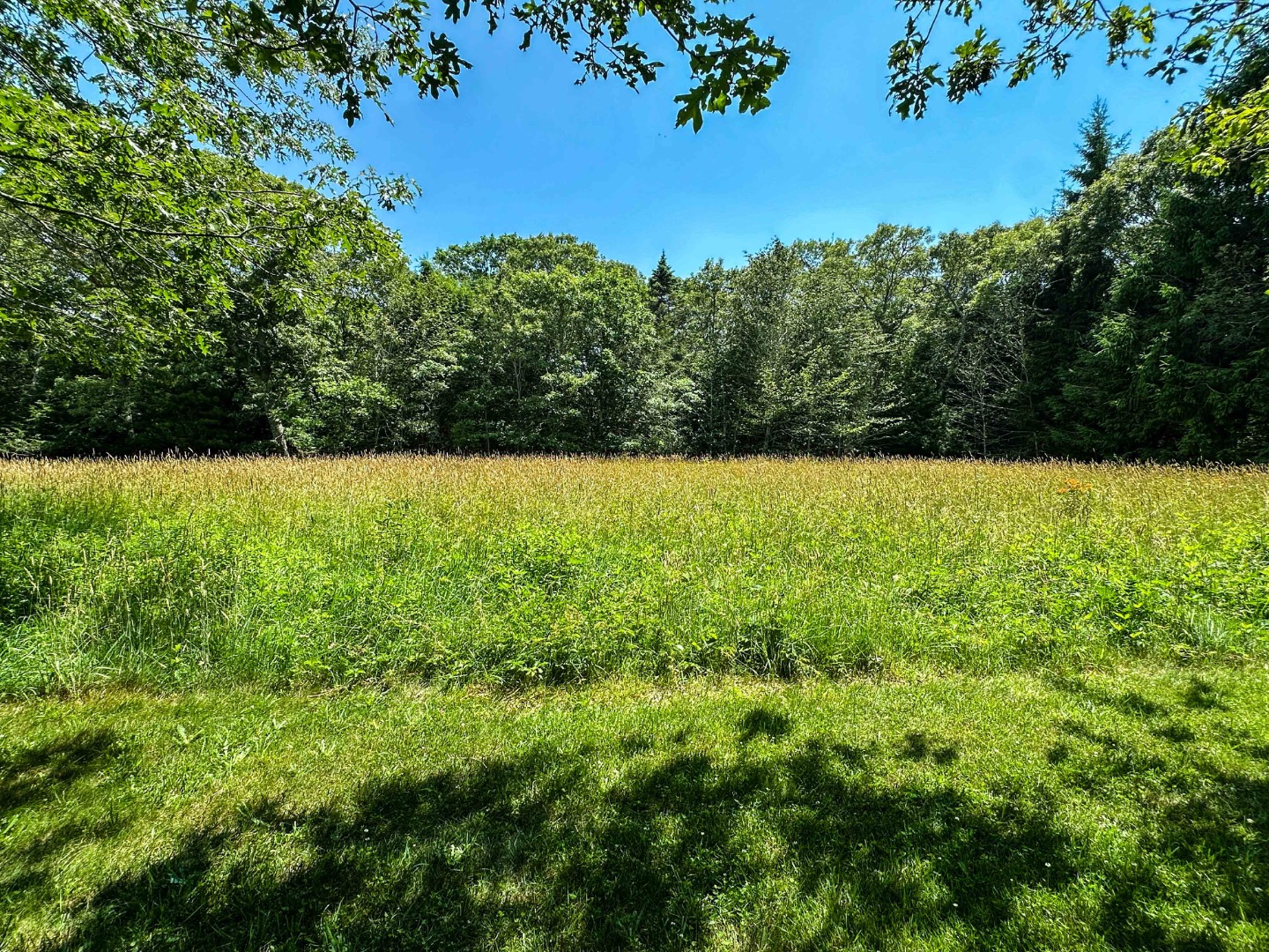 31 Josiah Sachem Way