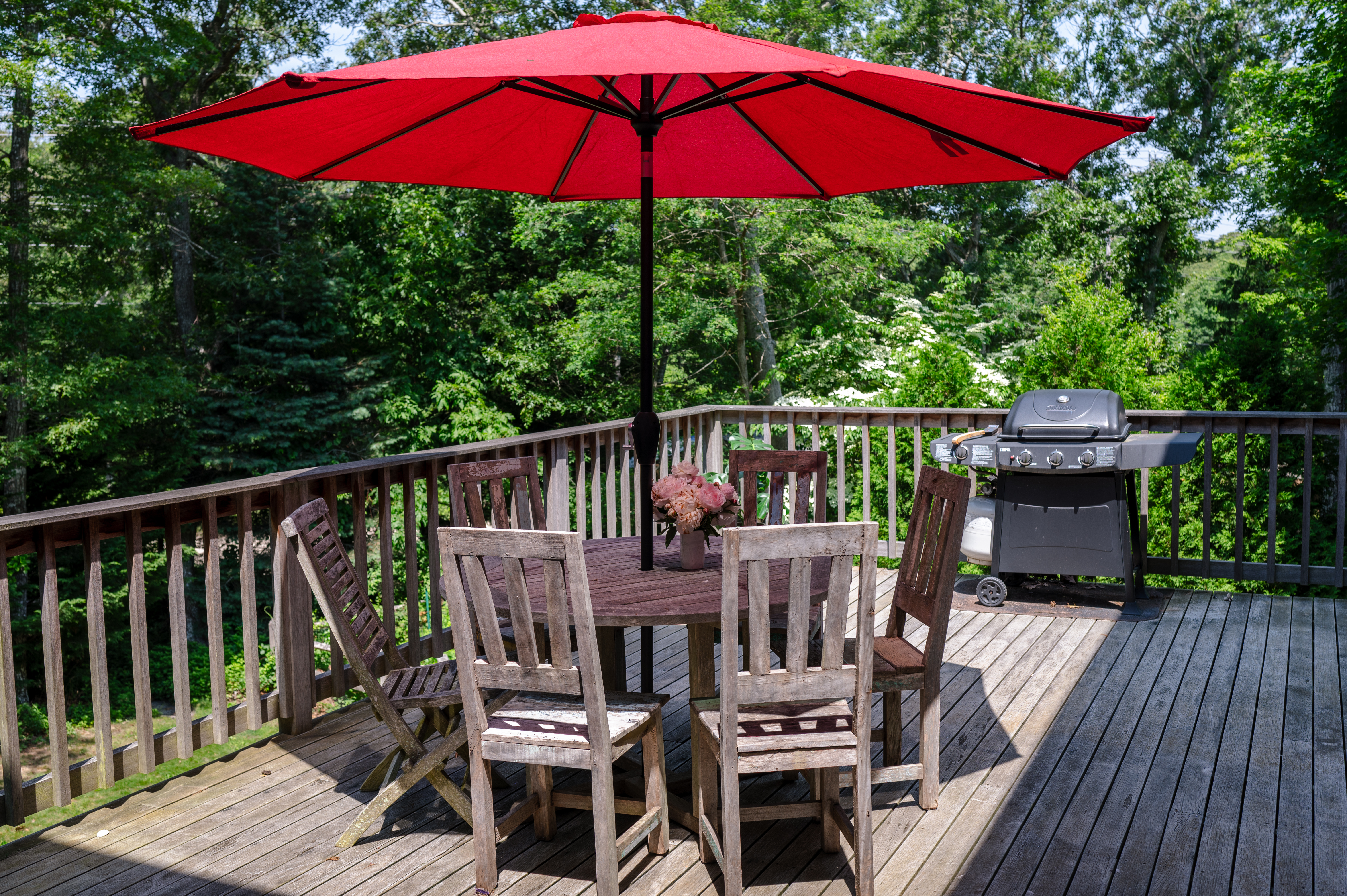 208 Irenes Way