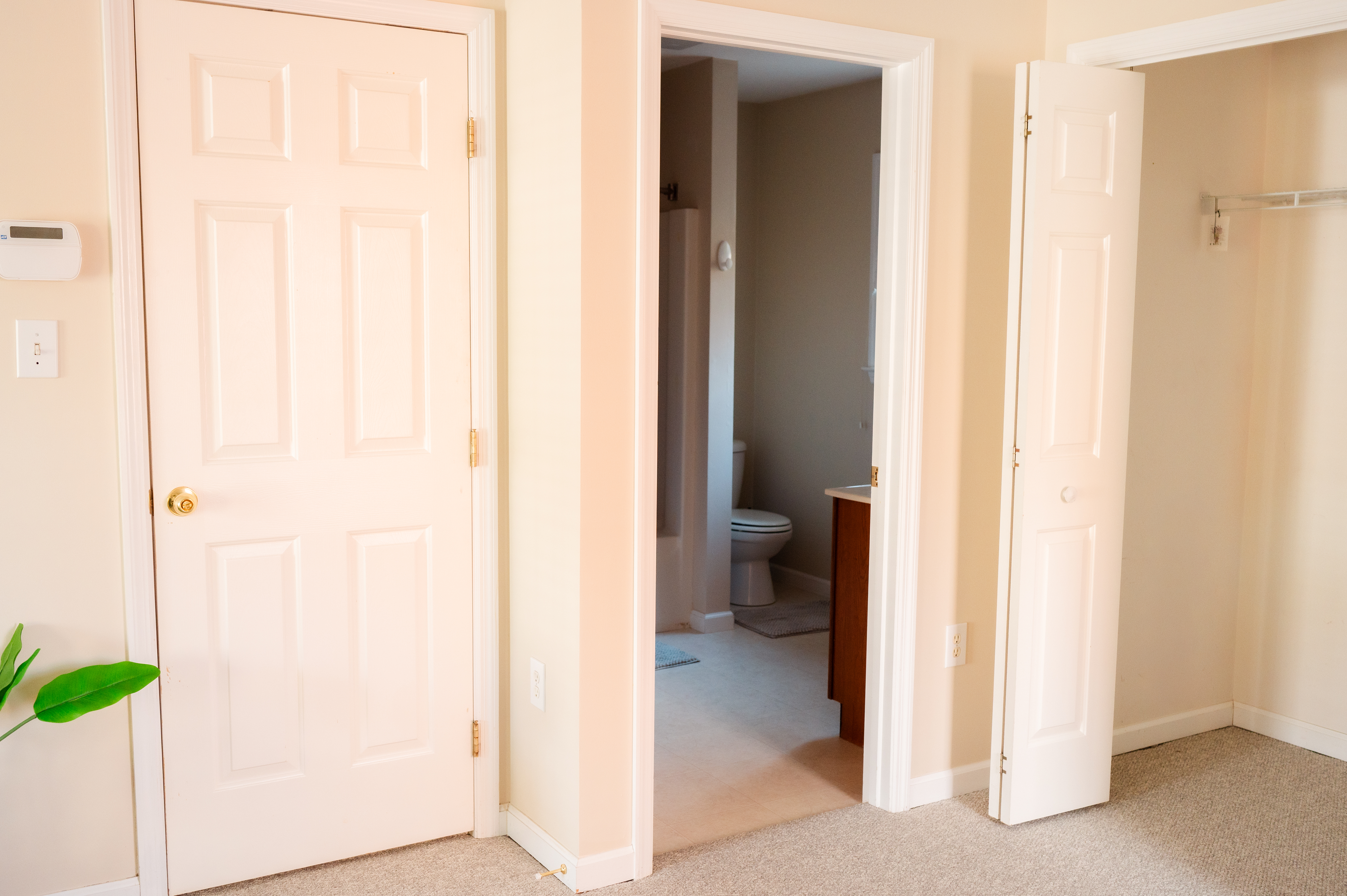 208 Irenes Way
