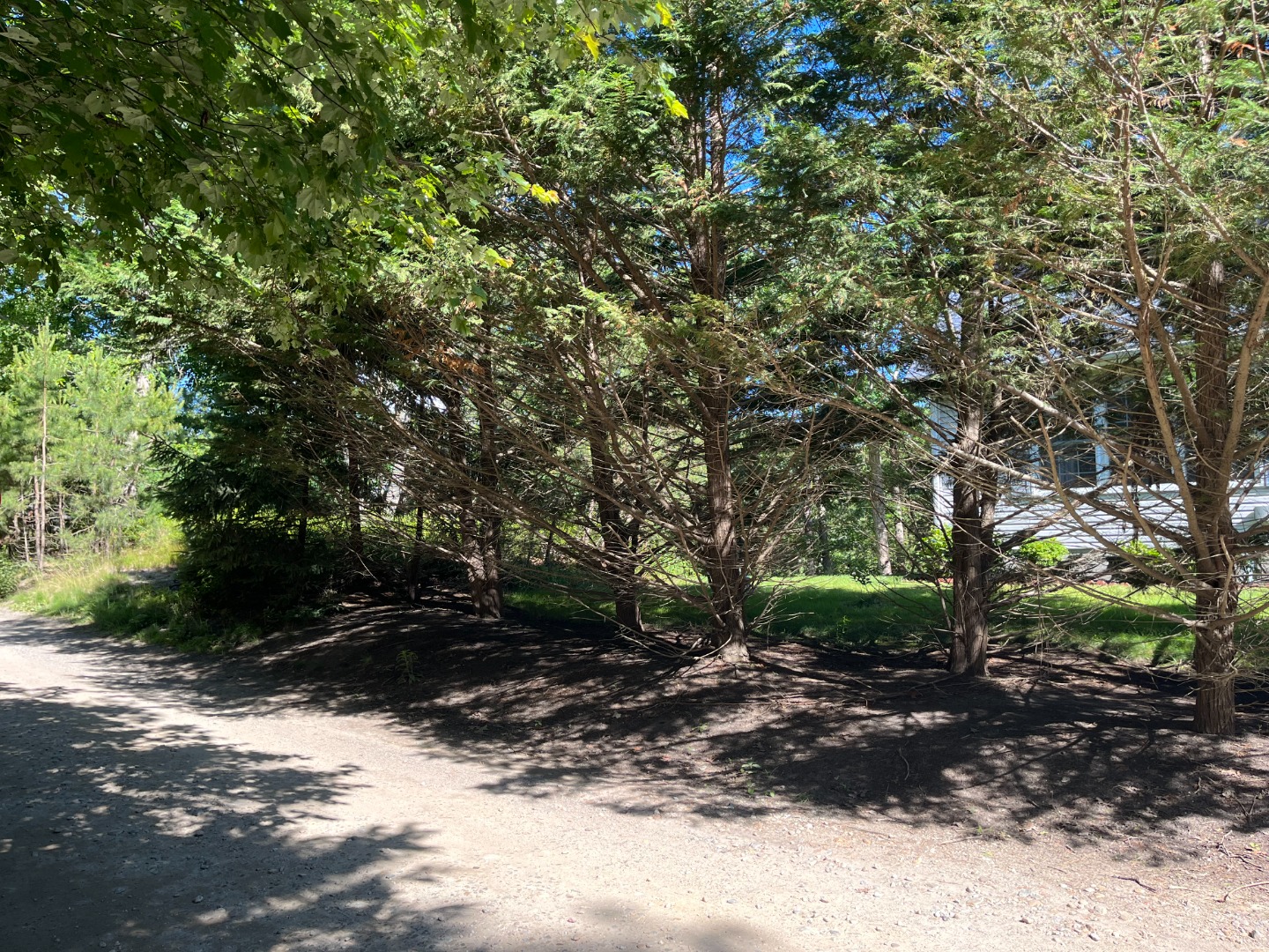 208 Irenes Way