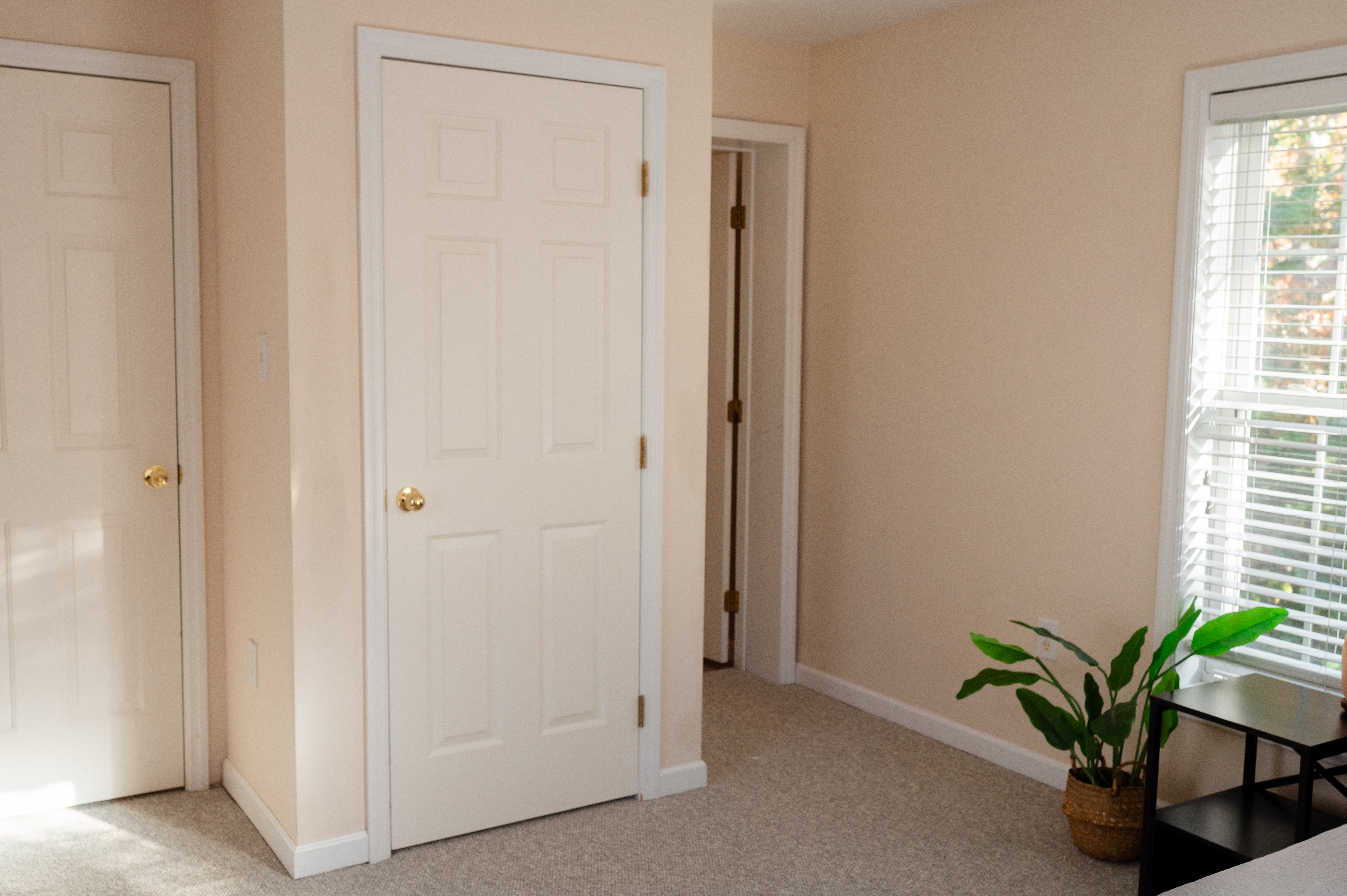 208 Irenes Way